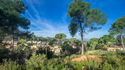 Passeig Caqui, 2